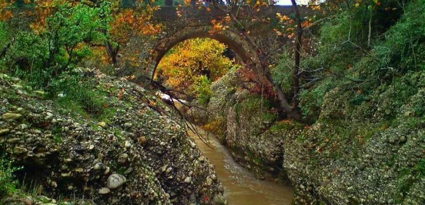 Το νερό των καταρρακτών Νεμούτας μέσα στο δάσος